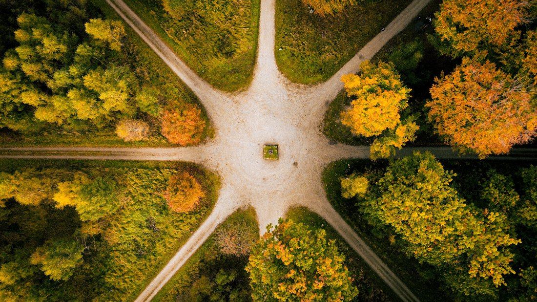 A path splitting into many directions through an autumn forest