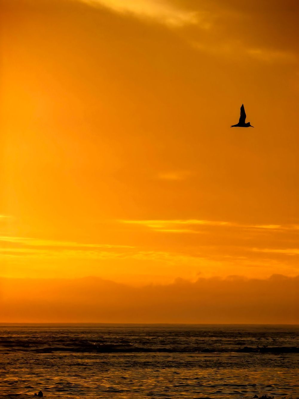 A lone bird flying over the ocean at sunset